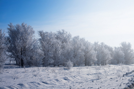 在雪的冬季公园。美丽的冬天景观道与 sn