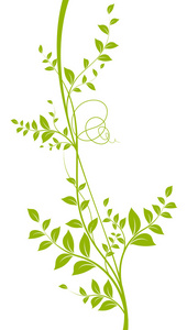 矢量装饰植物，绿色颜色白上
