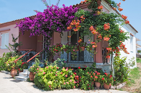 长满鲜花的房子图片
