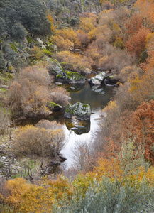 景观与森林和湖泊在秋天的时间。西班牙