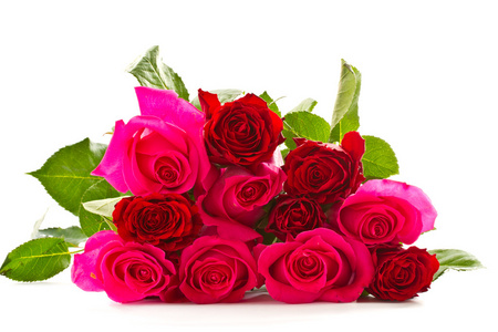 明亮美丽的粉红色玫瑰