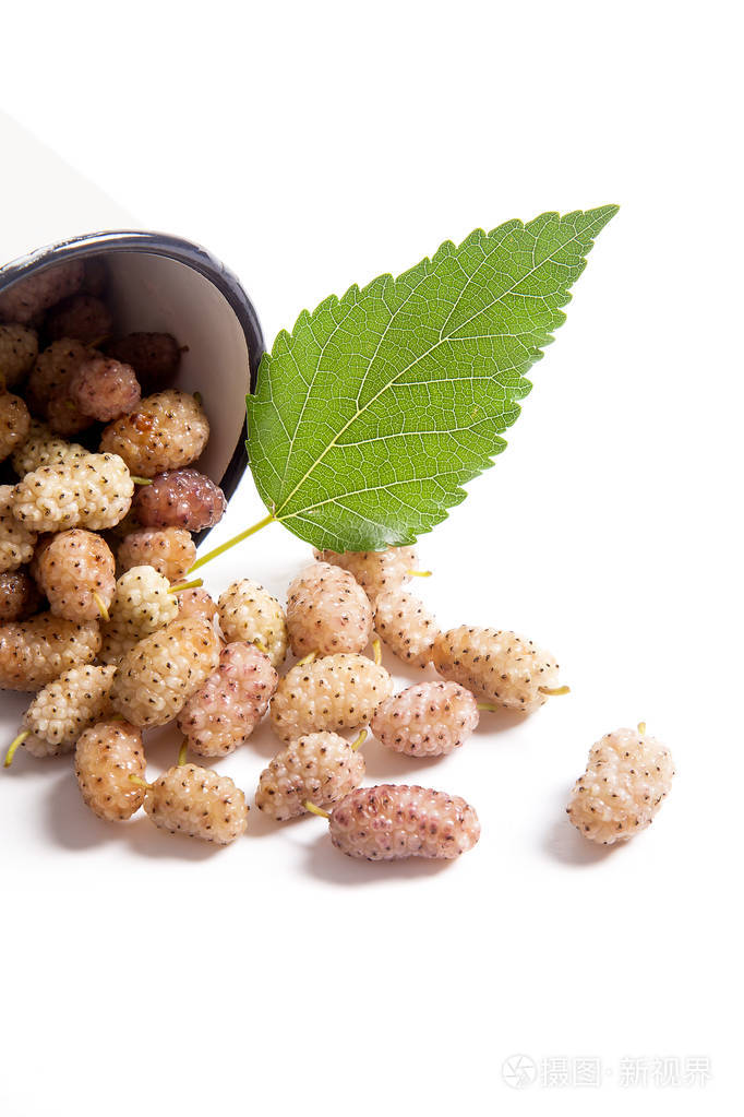 白杯与鲜甜白桑浆果和桑树绿叶隔离在惠特照片-正版