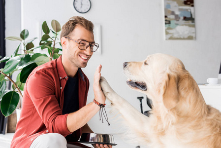 金色猎犬狗给五的快乐的人在眼镜