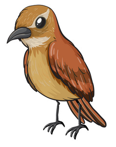 鹬插画-鹬手绘-鹬卡通图-摄图新视界