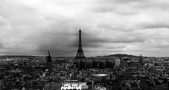巴黎法国的全景在黑白和埃菲尔铁塔