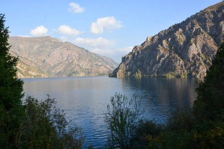 美丽的风景与绿松石的湖泊 森林和山