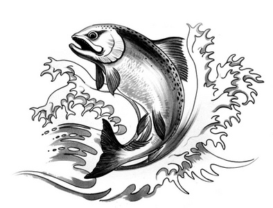 神奇的水下生命黑白线条画鲨鱼插画艺术黑白线条画鲨鱼插画艺术三文鱼