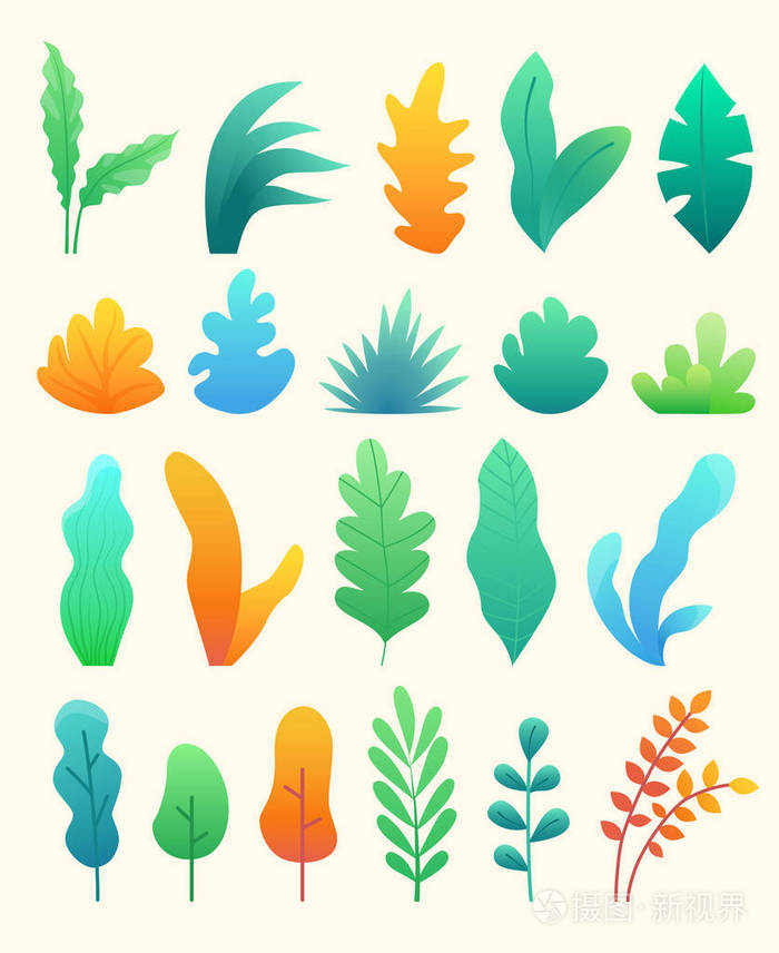 时尚植物插画-正版商用图片0ak6bt-摄图新视界