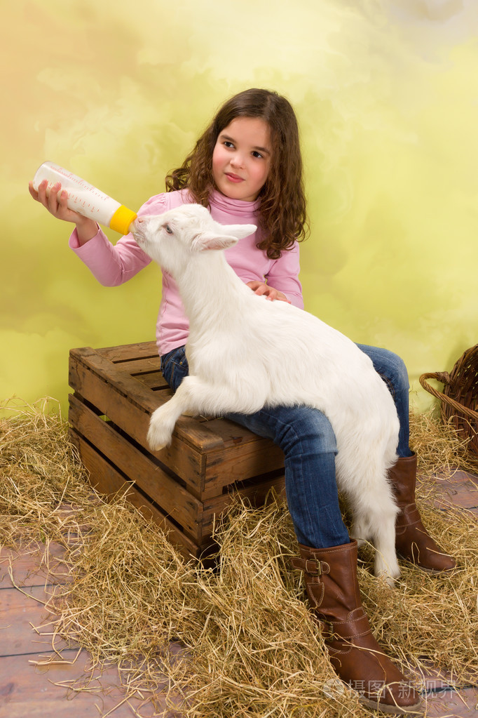 牛奶喂饥饿的小婴儿山羊