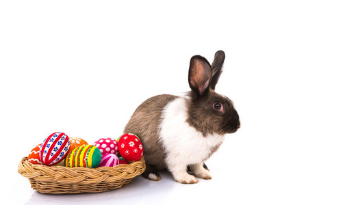 白色背景上孤立的复活节彩蛋的兔子
