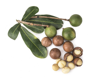 macadamia noten gesoleerd op witte achtergrond