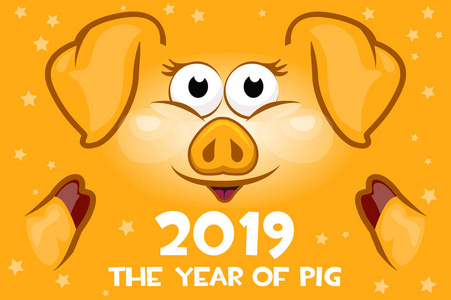 动画片问候横幅在橙色猪的年。2019年新年。向量例证