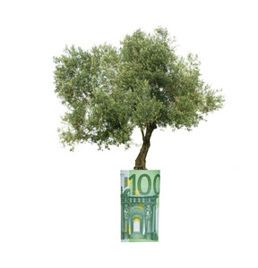 橄榄树种植从欧罗条例草案 