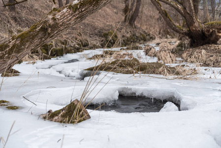 冬季自然奇观的细节小河中的冰