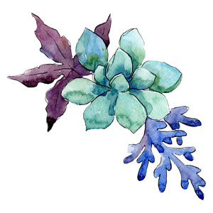 植物学的花束图片