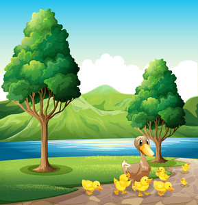 一个家庭的鸭子在河岸边