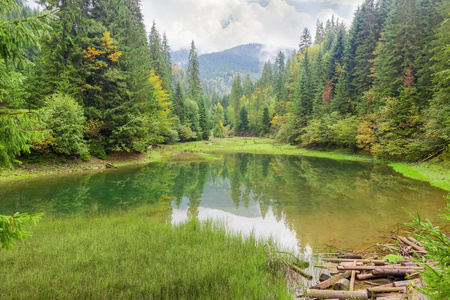 坐落在山谷中的小山湖, 山坡上覆盖着森林, 并在这片山脉的水中反映出来。