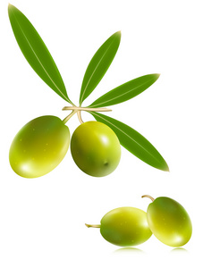 grna oliver med blad