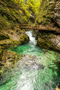 Vintgar，美丽的瀑布，在斯洛文尼亚
