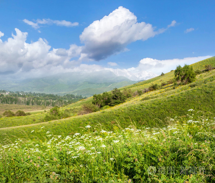 明亮美丽的夏日风景与蓝蓝的天空,绿色的山谷中