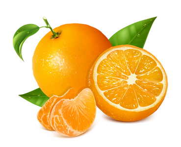 新鲜的橘子水果
