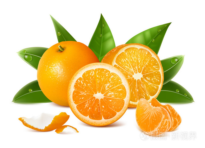 矢量新鲜成熟的橘子