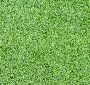 绿化草地图片-绿化草地素材-绿化草地插画-摄图新视界