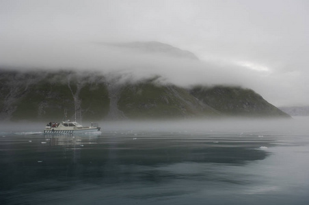 Narsarsuaq 格陵兰的蓝冰冰山