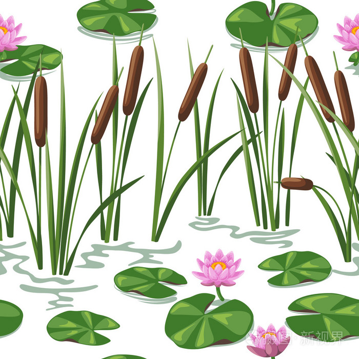 湿地植物背景