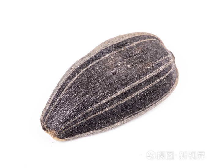 单个向日葵种子