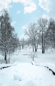 冬季圣诞雪景