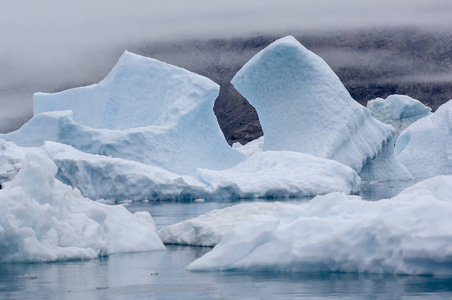 Narsarsuaq 格陵兰的蓝冰冰山