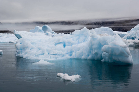 Narsarsuaq 格陵兰的蓝冰冰山