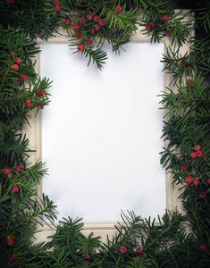 创意布局由圣诞树树枝与红色浆果和框架纸卡说明。复制文本的空间。平躺。自然新年概念