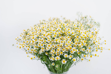 雏菊花。夏季背景。母亲节棕榈油礼物花束