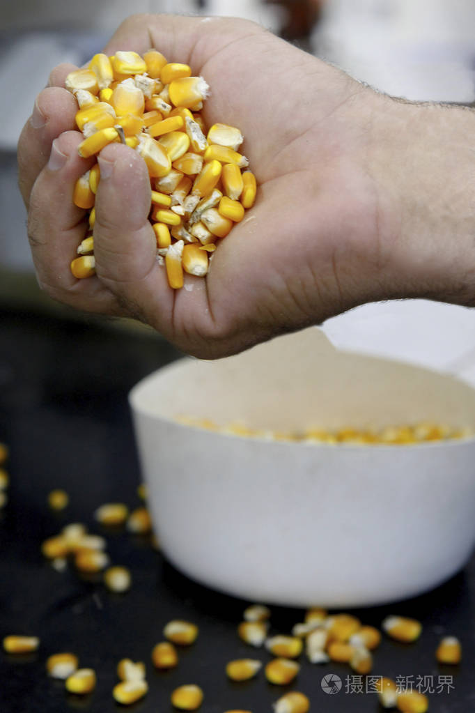 闭上手捧着一粒玉米