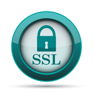 Ssl 图标。白色背景上的互联网按钮