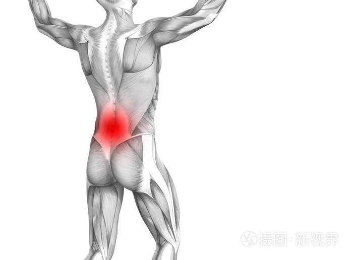 3d. 图示人关节炎或骨质疏松症