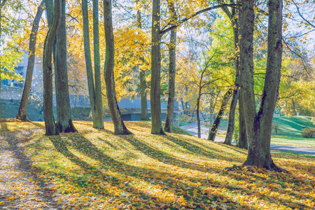 城市采西斯, 拉脱维亚。老 Casttle 公园在秋季。黄叶子, 废墟和建筑。旅行照片2018