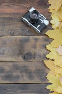 旧相机之间的一组发黄秋天的树叶在一个背景表面的深棕色的天然木板