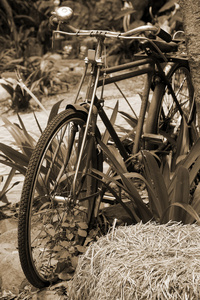 旧的老式自行车的特写