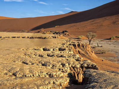 纳米比亚 Deadvlei 的魔法景观