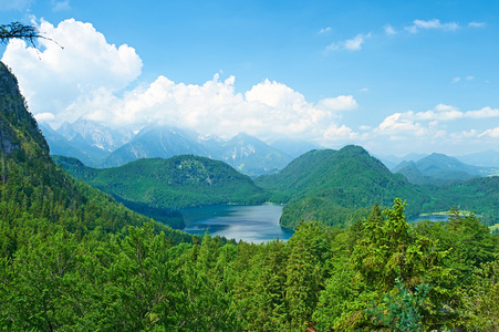 alpsee 在天鹅湖