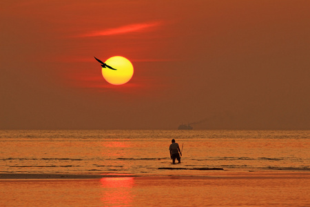 以上的海和海鸥的热带红夕阳光反射