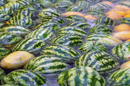 天然大全鲜西瓜水中漂浮和冷却图片