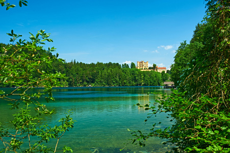 alpsee 在天鹅湖