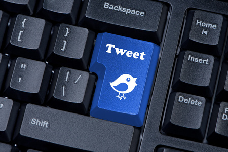 按键，与推特和鸟类特写