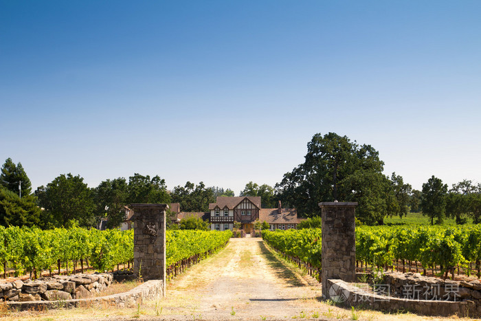 在一个葡萄园间漂亮的房子