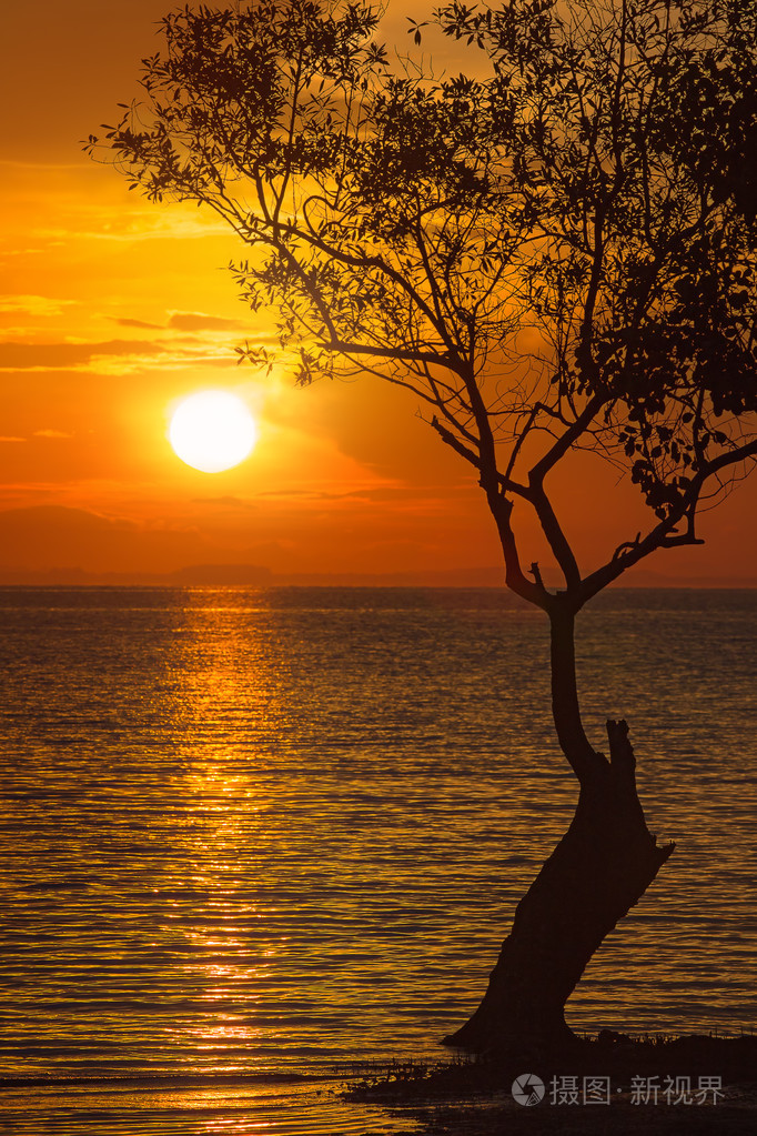 美丽的夕阳与色彩斑斓的天空