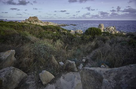 一个自然的细节, 岩石和部分覆盖着地中海植被 撒丁岛南部海岸的自然地形